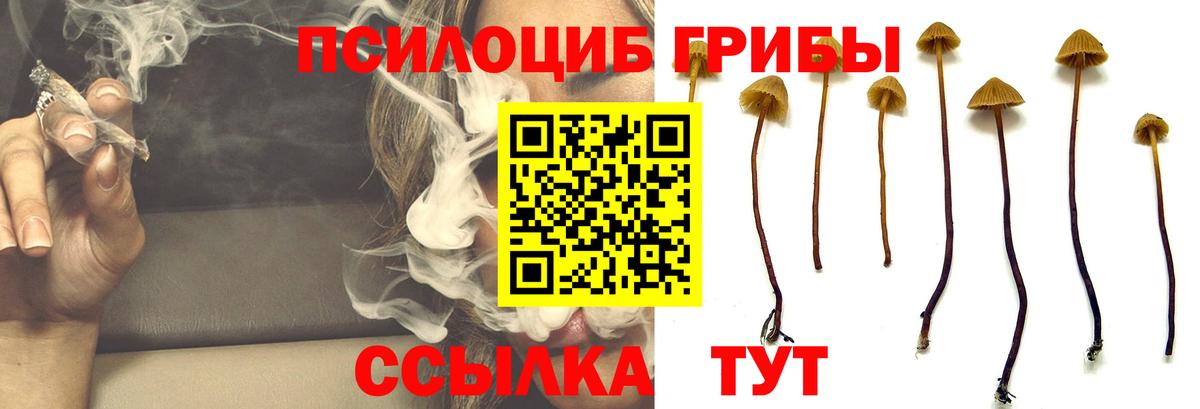 Галлюциногенные грибы Magic Shrooms Асбест